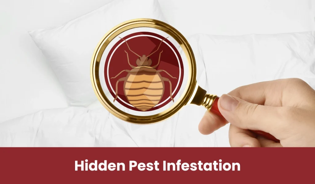 hidden pest infestation