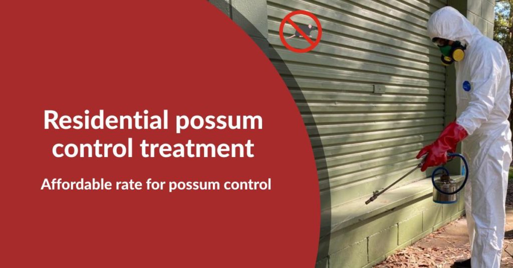 Possum Control Mandurah 0480 022 718 Emergency Residential