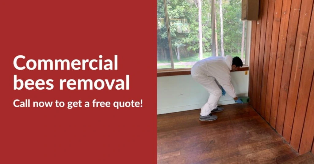 Commercial Bee Removal