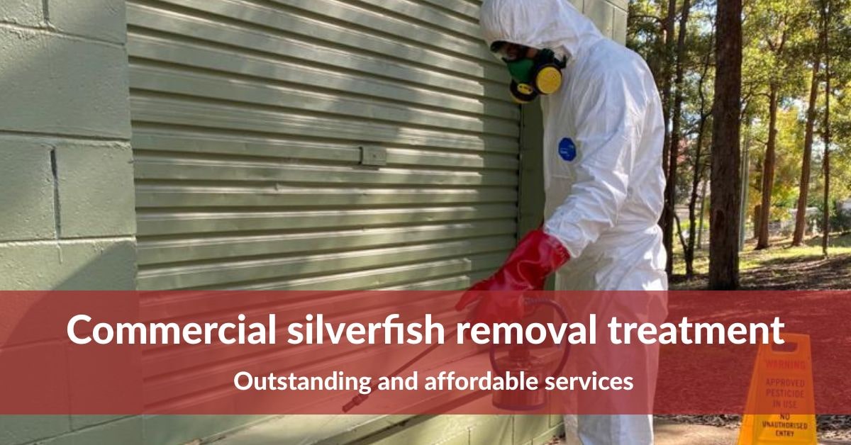 Silverfish Control Alfords Point - 0480 022 718 - Emergency Residential &  Commercial Service