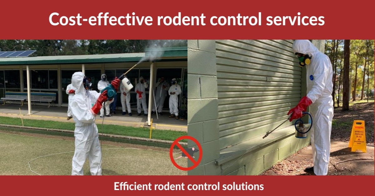Cost Affective Rodent Control Services