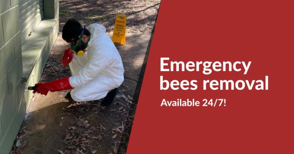Emergency Bees Removal