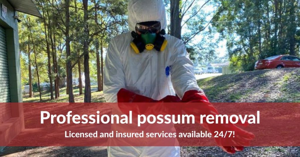 Possum Control Mandurah 0480 022 718 Emergency Residential