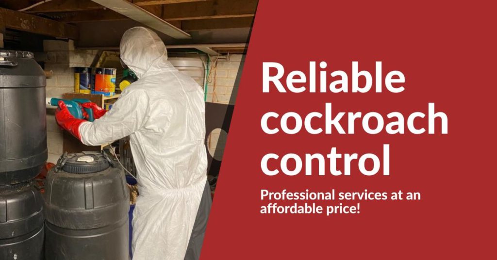 Cockroach Control Brisbane 0480 022 718 Emergency Residential