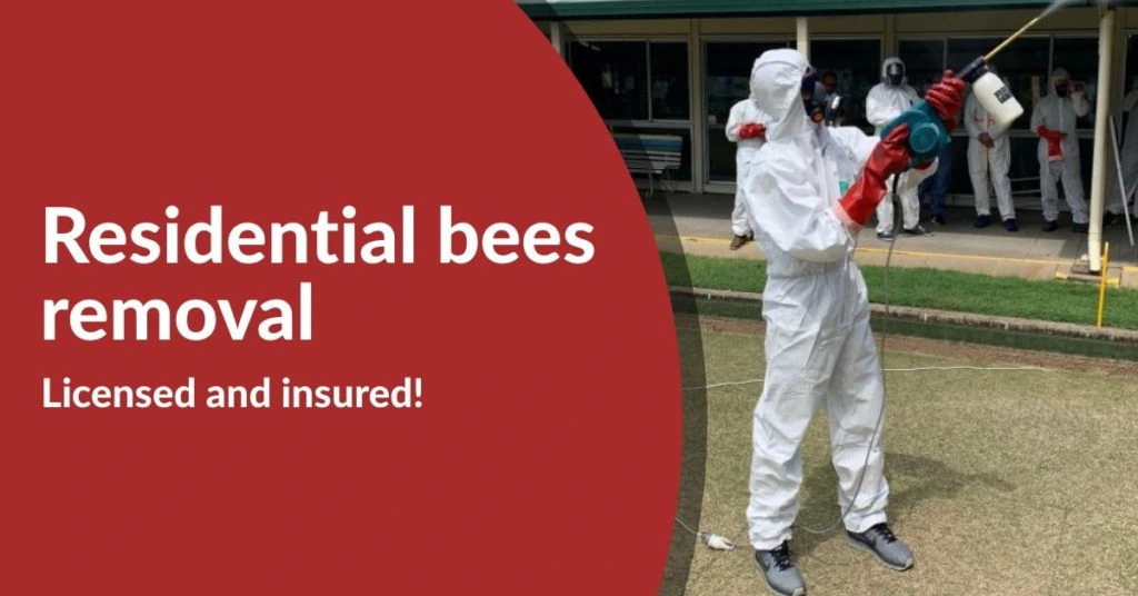 Residential Bees Removal