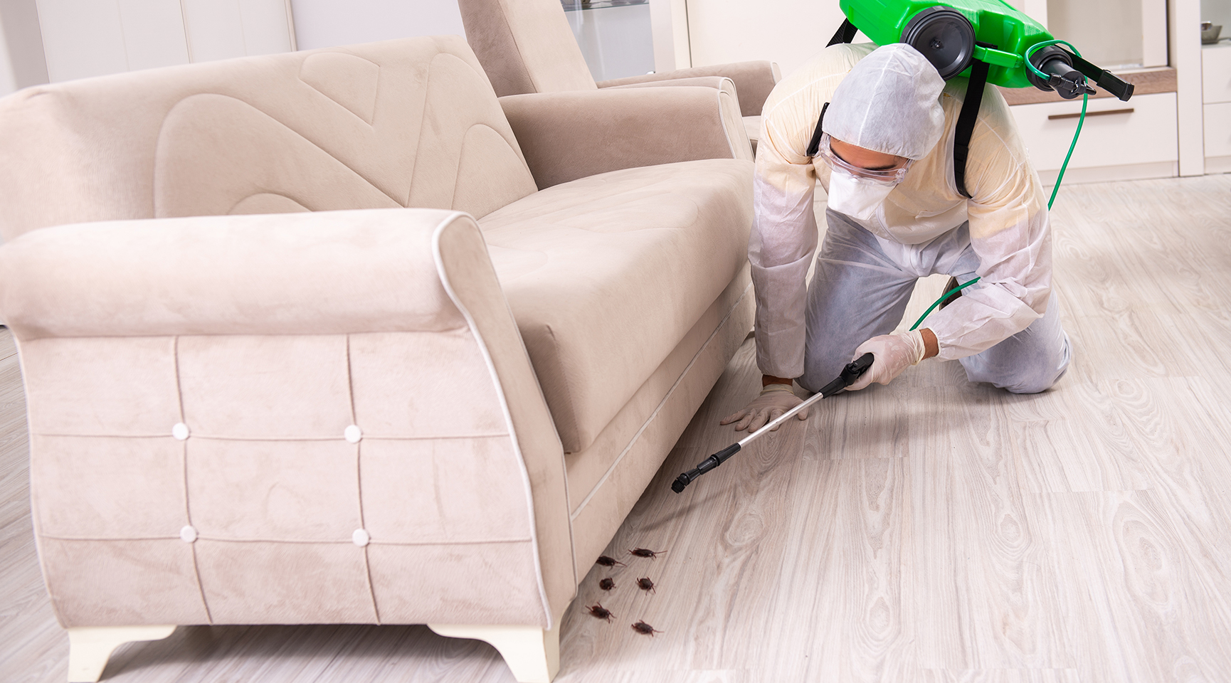 Professional pest control spraying cockroaches under sofa