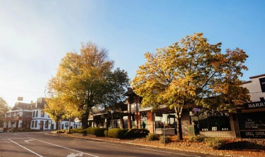 Healesville