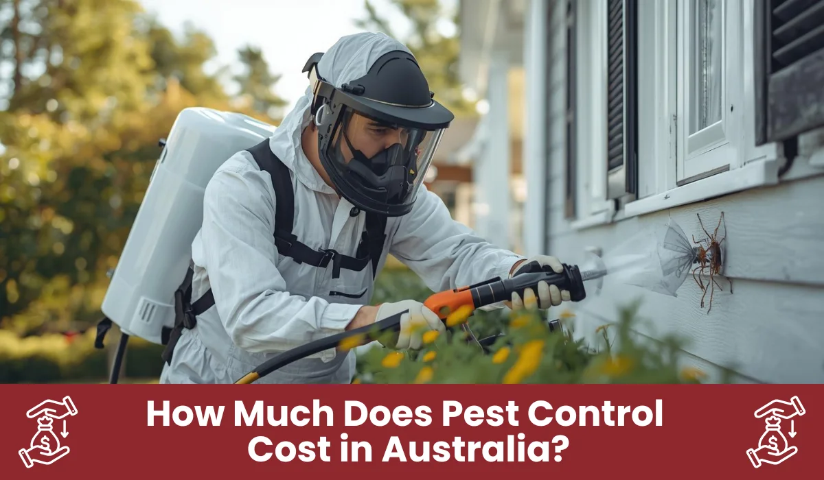 Pest Control Cost in Australia