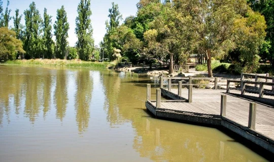 Ringwood