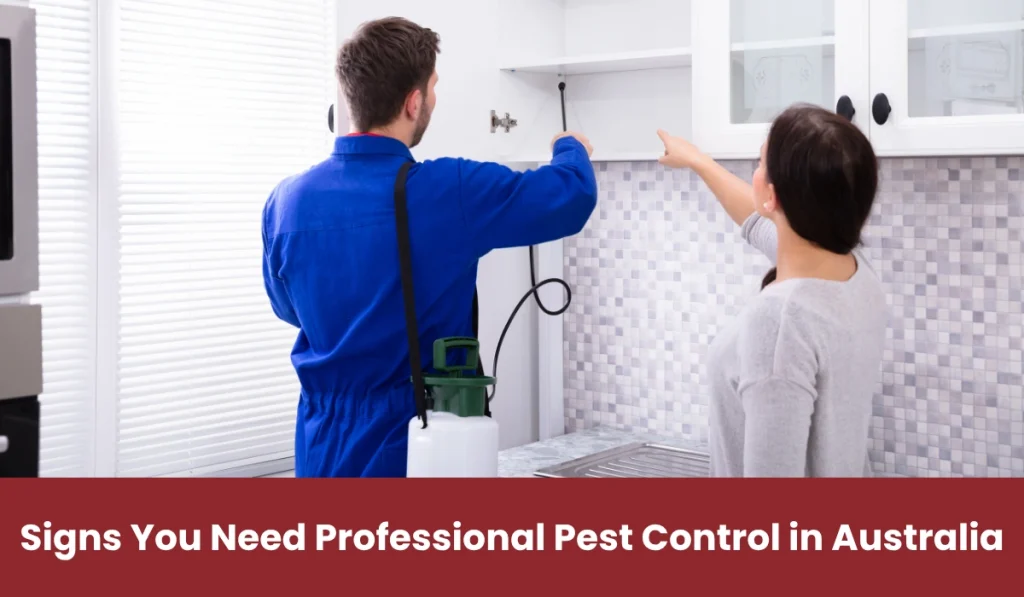Professional doing pest control service at residential
