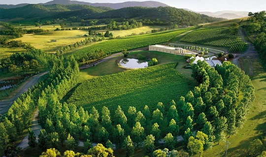Tarrawarra