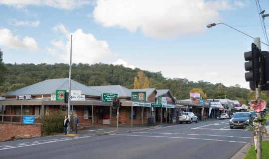 Tecoma