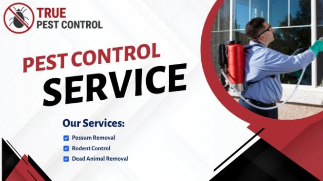 Pest Control Services in Melbourne
