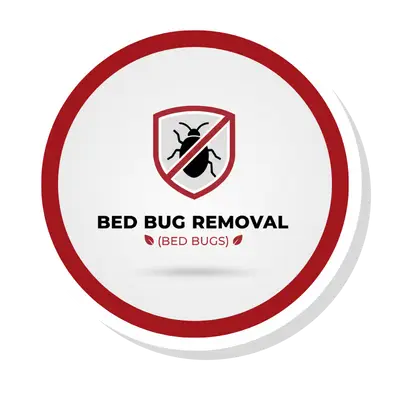 Bed Bug Removal