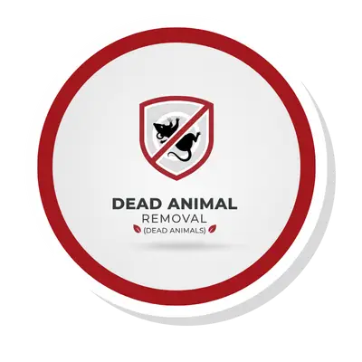 Dead Animal Removal