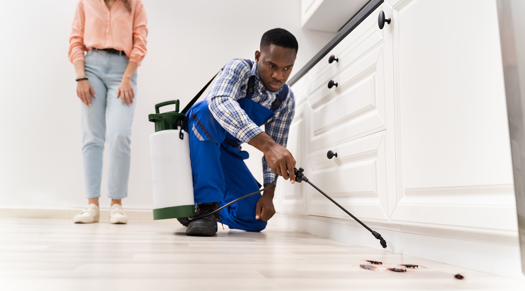 Pest Controlling in Home