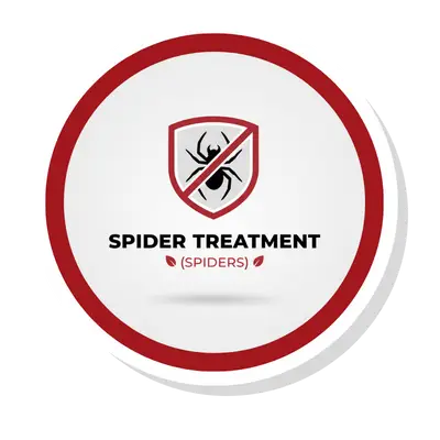 Spider Treatment