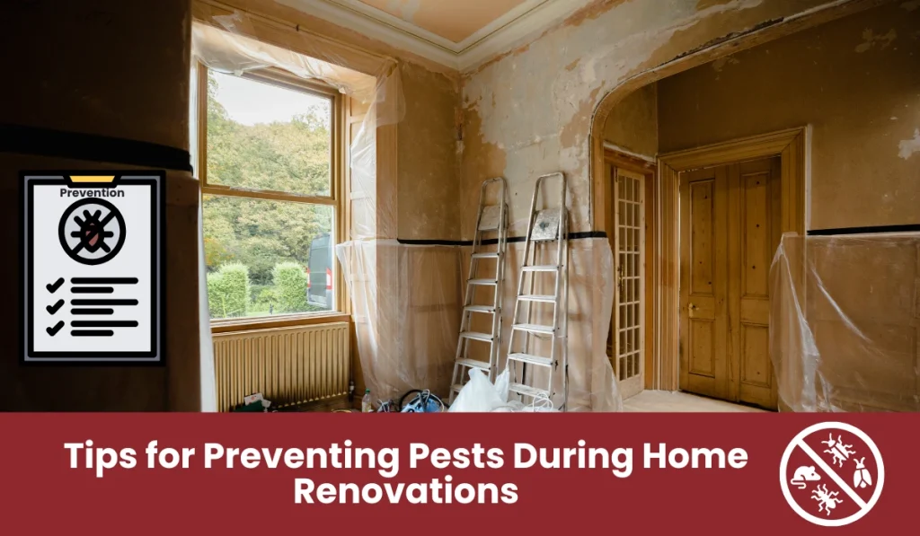 Tips for Preventing Pests During Home Renovations